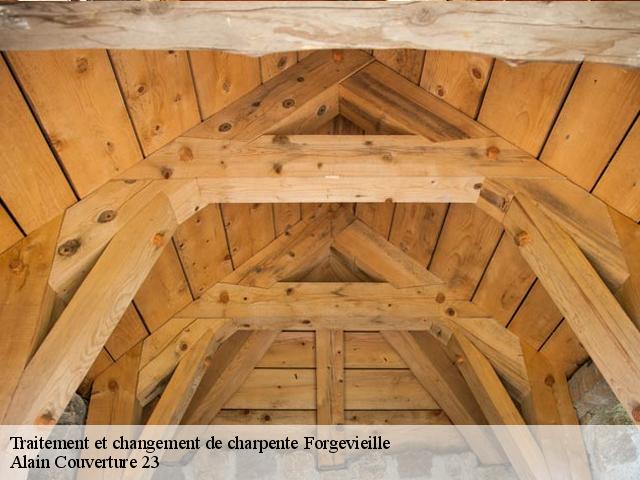 Traitement et changement de charpente  forgevieille-23160 Alain Couverture 23